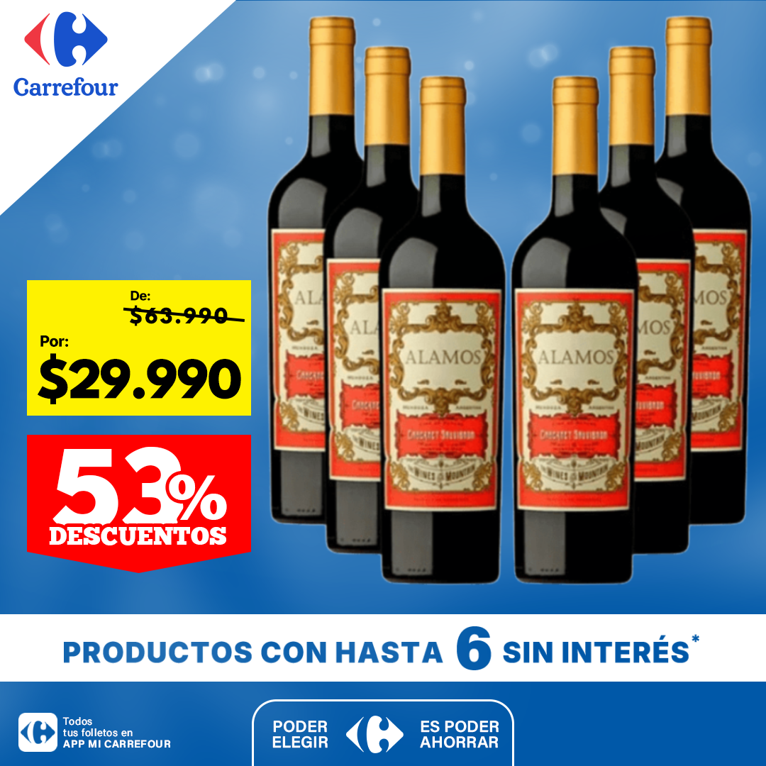 Vino Alamos Malbec 750ml Caja X6