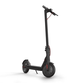 Monopatin Adulto C10